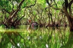 সিলেটে বন্যা পরিস্থিতির উন্নতি হওয়ায়, সাদাপাথর-লালাখাল বাদে সব পর্যটনকেন্দ্র খুলে দেওয়া হয়েছে।